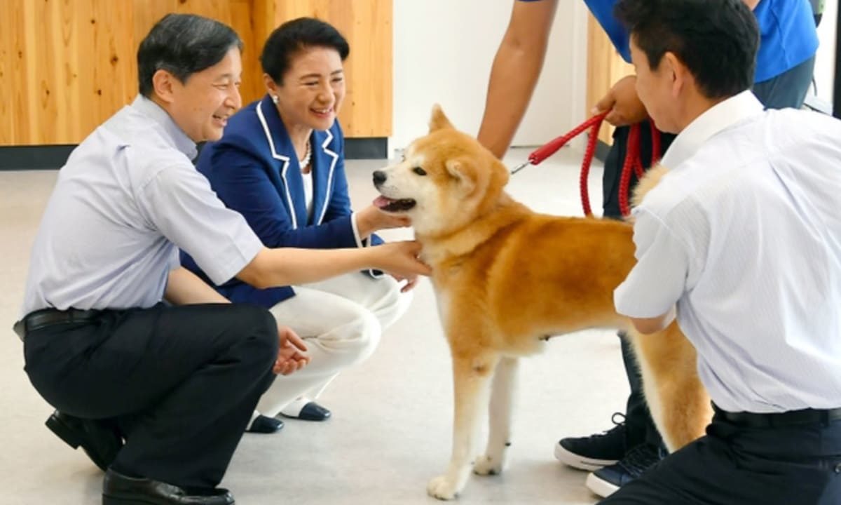 雅子さま、保護犬との「キス」に感動 愛子さまの動物愛護への想い｜菊ノ紋ニュース